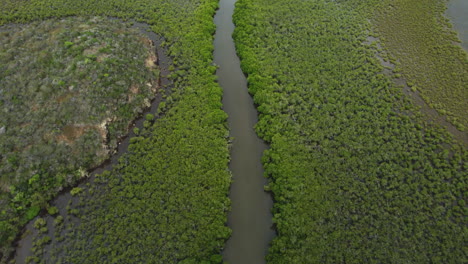 Low-flyover-over-channel-through-mangrove-near-Heart-of-Voh,-New-Caledonia