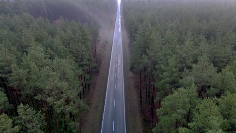 Aerial-descending-shot-of-a-long-straight-misty-country-road-in-the-middle-of-a-forest-with-the-vanishing-point-in-the-center