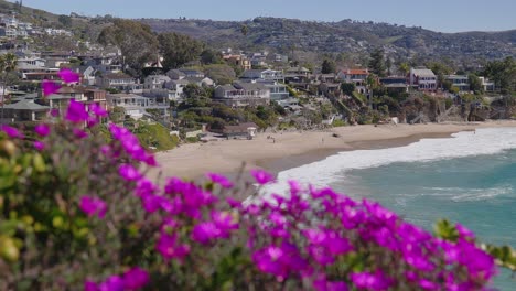 A-view-of-the-California-coast,-looking-over-pink-flowers