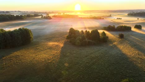 Aerial-wide-shot-over-a-foggy-meadow-with-trees-and-golden-sunbeams-at-dawn