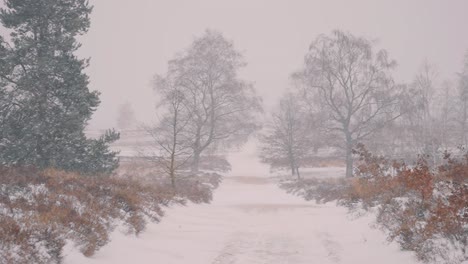 Vista-Panorámica-De-La-Tormenta-De-Nieve-En-Invierno,-Camino-Cubierto-De-Nieve-Por-Delante,-Cámara-Lenta