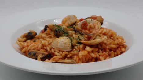Delicious-seafood-risotto,-Risotto-ai-frutti-di-mare,-on-white-dish