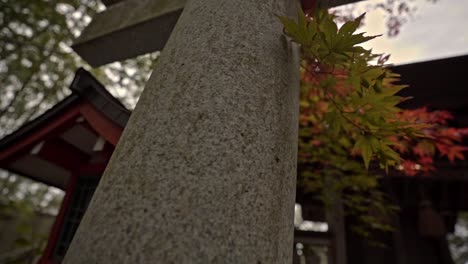 Japanischer-Ahornbaum-Während-Der-Herbstsaison-Mit-Japanischem-Laternenpfosten-Auf-Dem-Hintergrund-Im-Tempel