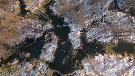 Aerial-top-down-view-snow-covered-marshlands-area-in-winter