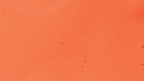 Abstrakter-Orangefarbener-Flüssiger-Farbflussübergang-Mit-Weißem-Hintergrund