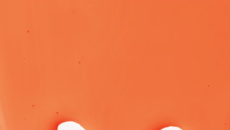 Abstrakter-Orangefarbener-Flüssiger-Farbflussübergang-Mit-Weißem-Hintergrund