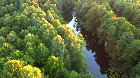 Luftaufnahme-über-Einem-Nebligen-Wald-Mit-Fluss-Und-Goldenen-Sonnenstrahlen-Im-Morgengrauen