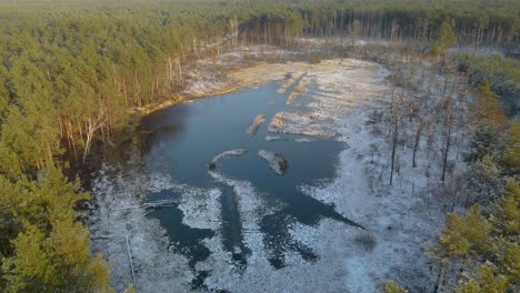Aerial-wide-view-snow-covered-marshlands-area-in-the-middle-of-the-forest