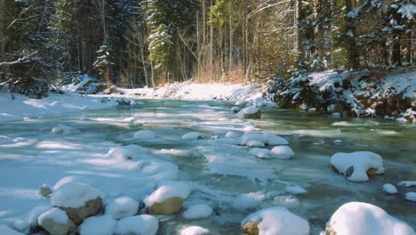 4K-UHD-aerial-drone-flight-moving-along-a-frozen-mountain-river-in-a-forest-with-snowy-tree-tops-in-the-Bavarian-Alps-in-winter-in-Germany,-close-to-Austria