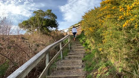 Female-climbing-up-outdoor-steps-on-countryside-trail-path