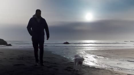 Shadow-of-male-walking-on-beach-at-sunset,-white-dog-running,-slow-motion