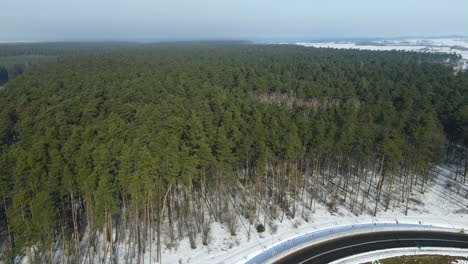 Endless-Evergreen-coniferous-pine-forest-in-the-winter-landscape