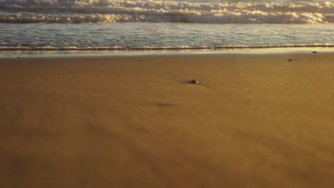 Calm-beach-wave-at-sunset