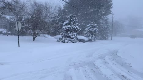 Video-footage-of-a-nor-easter-blizzard-in-the-Northeastern-US-in-the-middle-of-winter-in-America-in-New-York-State
