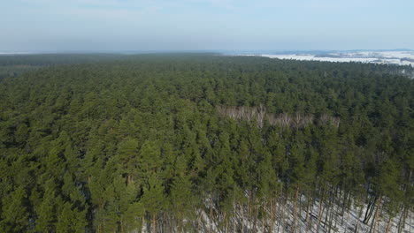 Bosque-Verde-En-La-Tierra-Nevada-En-Rakowice,-Cracovia,-Polonia
