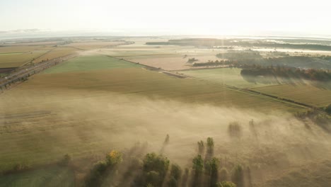 Golden-morning-light-shines-on-foggy-fields