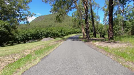 Rear-facing-driving-point-of-view-POV-of-a-deserted-Queensland-country-road-driving-past-Glasshouse-Mt-Ngungan---ideal-for-interior-car-scene-green-screen-replacement