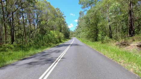 Nach-Hinten-Gerichteter-Blickwinkel-Einer-Verlassenen-Landstraße-In-Queensland,-Flankiert-Von-Hohen-Eukalyptusbäumen---Ideal-Für-Den-Greenscreen-Ersatz-Im-Innenraum-Einer-Autoszene
