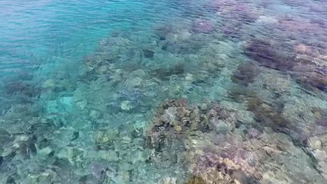 Crystal-clear-sea-water-and-coral-reef-at-coast-of-Moyo-Island,-Indonesia