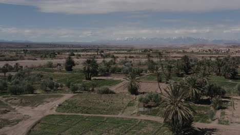 Toma-De-Drones-De-Un-Hermoso-Oasis-Cerca-De-Ouarzazate
