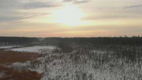 Rising-aerial-over-sunset-over-a-frozen-forest-in-the-wilderness-of-Latvia