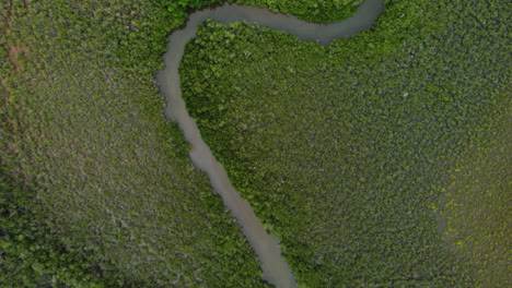 Überführung-über-Dem-Wasserkanal,-Der-Sich-Durch-Mangroven-In-Der-Nähe-Des-Herzens-Von-Voh-Windet