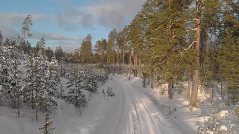Moving-along-a-path-through-the-woods-covered-in-snow-in-Latvia
