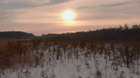 Flying-towards-sunset-over-a-forest-covered-by-snow-in-Latvia
