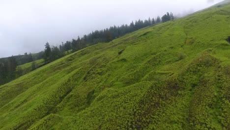Lush-green-slope-of-Mount-Tambora-in-Sumbawa-Island,-Indonesia-on-misty-day