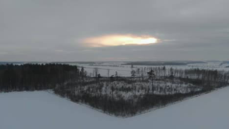Winter-snowy-white-landscape-in-northern-Europe,-aerial-drone-flying-backwards-above-park-reveal-astonishing-panorama,-dolly-out,-cloudy
