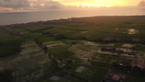 aerial-sunset-view-of-rice-field-with-ocean-seascape-island-of-gods-bali-canggu-area