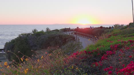 Kalifornischer-Sonnenuntergang-über-Bunter-Landschaftsgestaltung-Und-Pfad