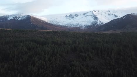 Forest-of-Trees-Aerial-Pan-Up-Revealing-Snowy-Mountains-In-The-Background,-Isle-of-Arran
