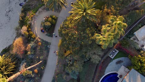 Aerial-view-of-people-walking-on-a-path-in-a-park