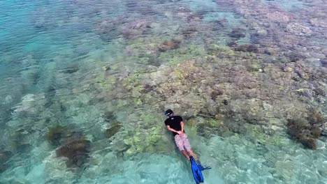 Unrecognizable-man-snorkeling-at-coral-ref-at-coast-of-Sumbawa,-Indonesia-aerial