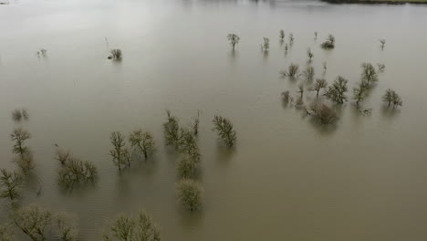 Trees-Submerged-In-Water-From-Flooded-River-In-Coquille-Valley,-Oregon,-USA---Drone,-Tilt-up