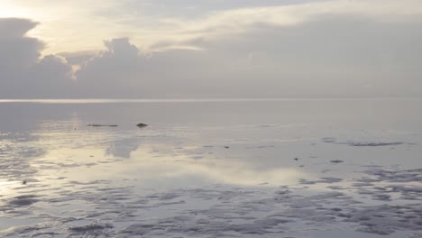 Ebbe-Am-Meeresufer-Während-Des-Morgens-Mit-Fliegenden-Vögeln-Im-Hintergrund