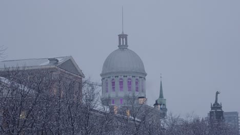 HISTORIC-DOME-BUILDING-SKYLINE-IN-WINTER-SNOWFALL