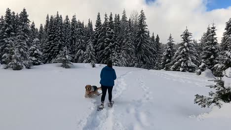 Backview-Of-A-Woman-Wearing-Snowshoe-With-Golden-Retriever-Walking-In-Snowscape-Spruce-Mountains