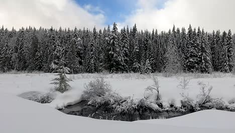 Gold-Creek-Pond-Surrounded-By-Snow-Covered-Forest-In-Snoqualmie-Pass-At-Winter