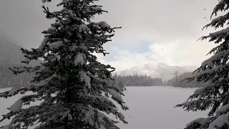 Espectacular-Tormenta-De-Nieve-Y-Nevadas-Con-Grandes-Copos-De-Nieve-Cayendo-Del-Cielo-Gris