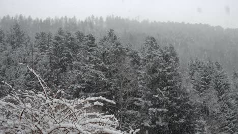 Schnee-Fällt-Stark-Auf-Eine-Berglandschaft-Mit-Bäumen-Im-Winter