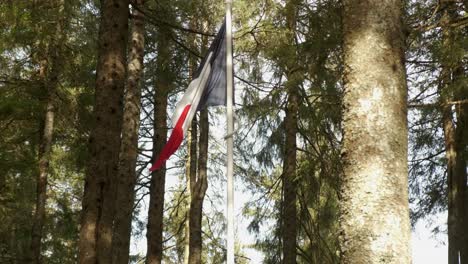 Bandera-Francesa-En-El-Viento-Entre-árboles-Bosque-Ventoso