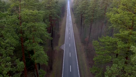 Aerial-shot-of-an-empty-long-straight-misty-road-in-the-middle-of-a-forest-flying-backward