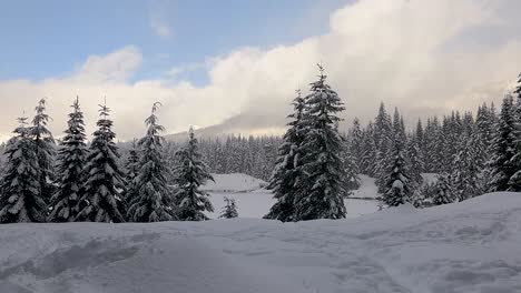 Schöne-Landschaftsaufnahme-Von-Schneebedeckten-Kiefern,-Schneebedeckten-Feldern-Und-Teich-Bei-Blauem-Himmel-Und-Schneefall
