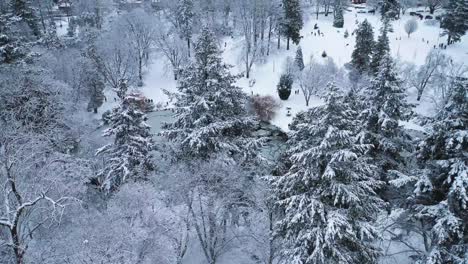 Gefrorene-Bäume-Und-Schneebedecktes-Feld-Im-Wright-Park-Während-Der-Wintersaison-In-Tacoma,-Washington