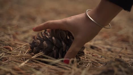 Closeup-of-female-hand-picking-a-pinecone-from-the-brown-floor-slow-motion-60fps