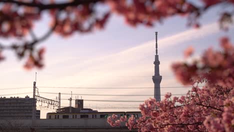 Train-running-on-elevated-tracks-with-iconic-Tokyo-Skytree-in-backdrop
