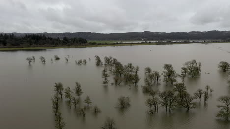 Aerial-flying-over-trees-in-flooded-pasture-on-cloudy-day,-Coquille,-Oregon