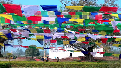 Coloridas-Banderas-De-Oración-En-Lumbini,-Nepal